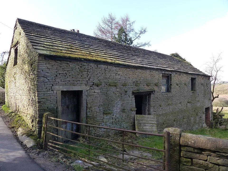 Implantation de haies