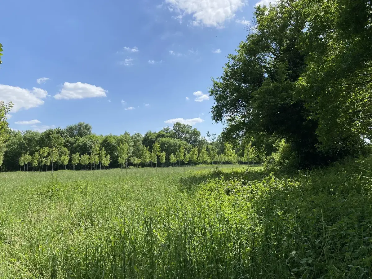 le bois de la bavriere — photo 1