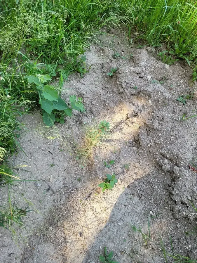 le bois de dun — photo 1