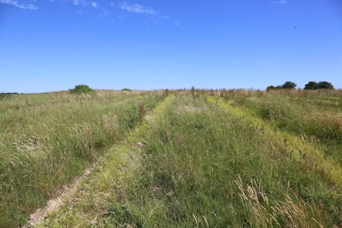 le bois de la persais — photo 1