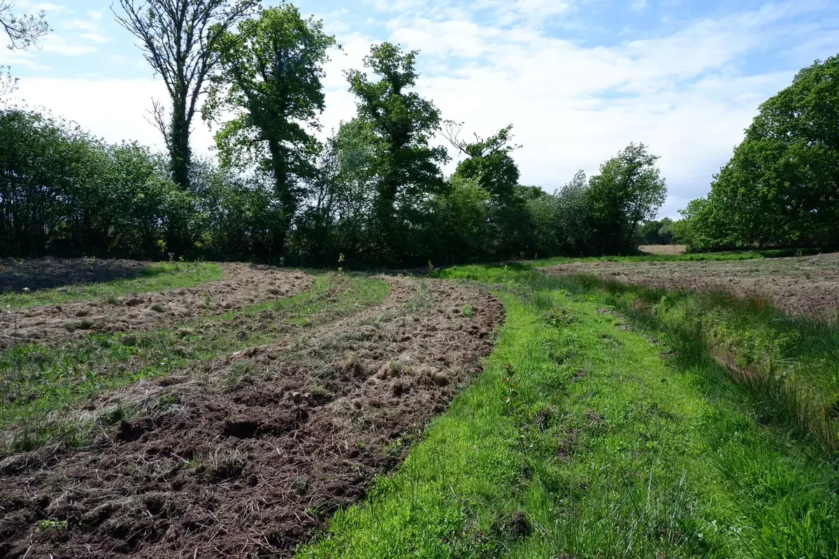 le bois de la tournerie — photo 1