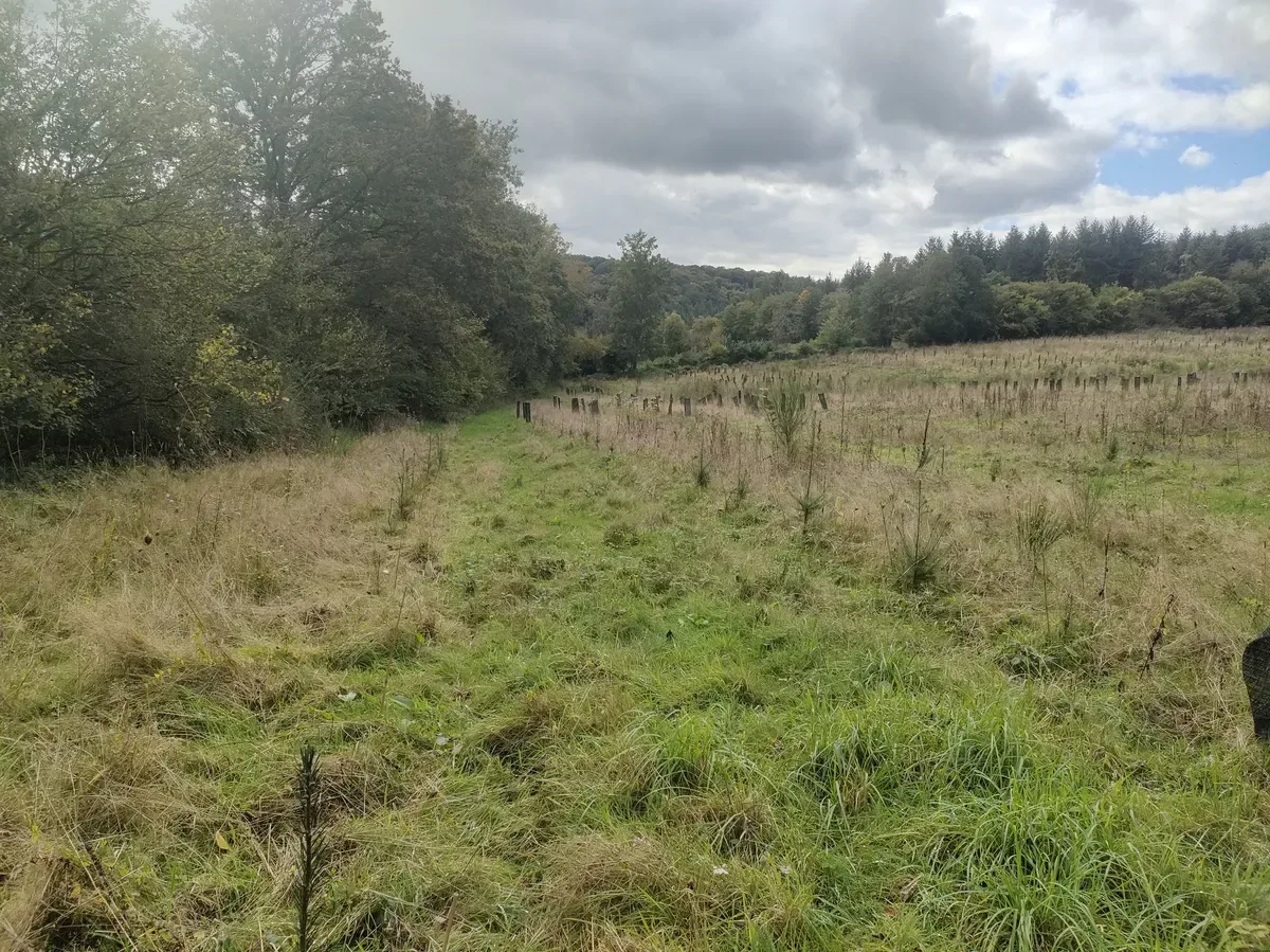 le bois de la grande vallee — photo 1