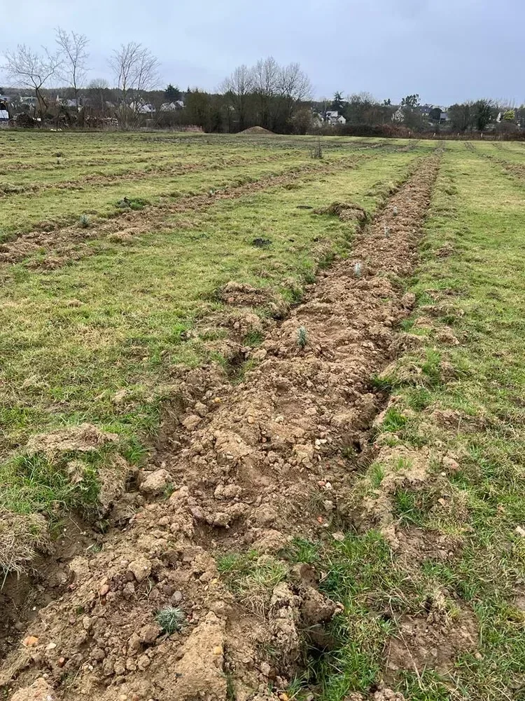 le bois des godelieres — photo 1