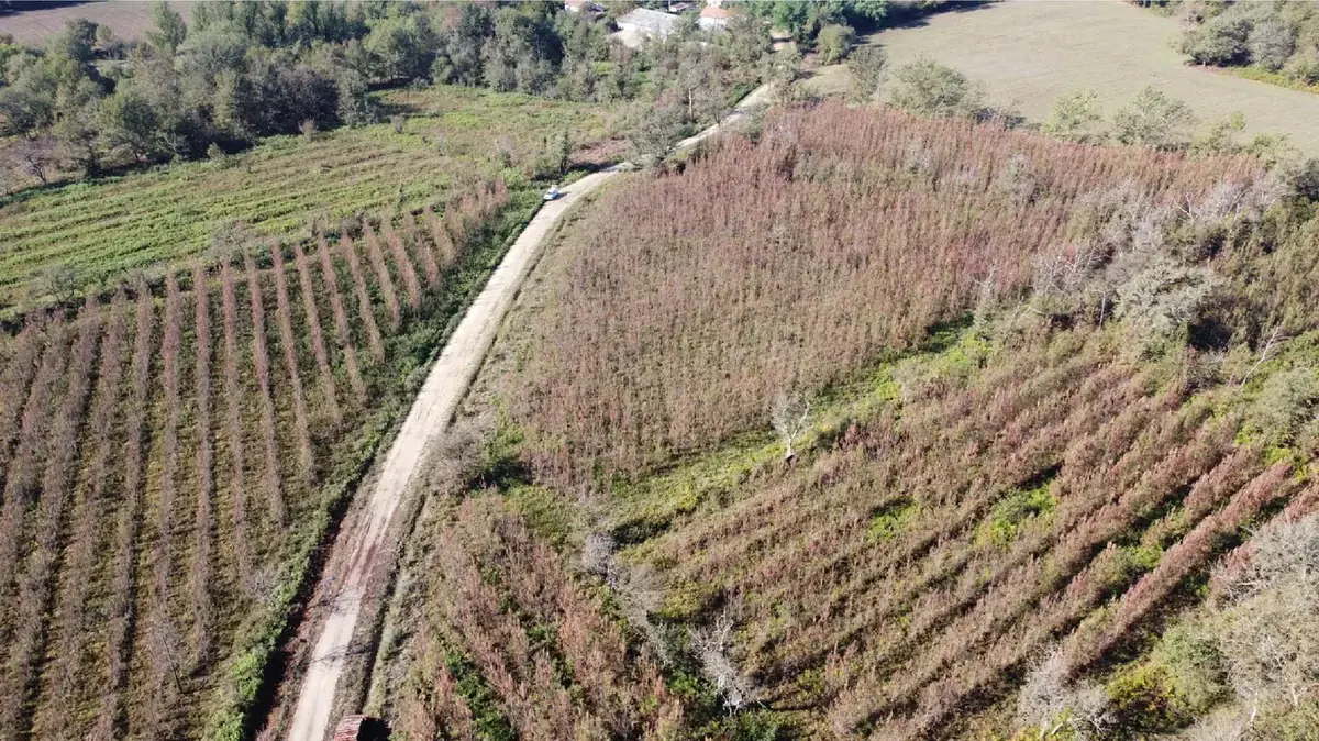 le bois du marin — photo 1