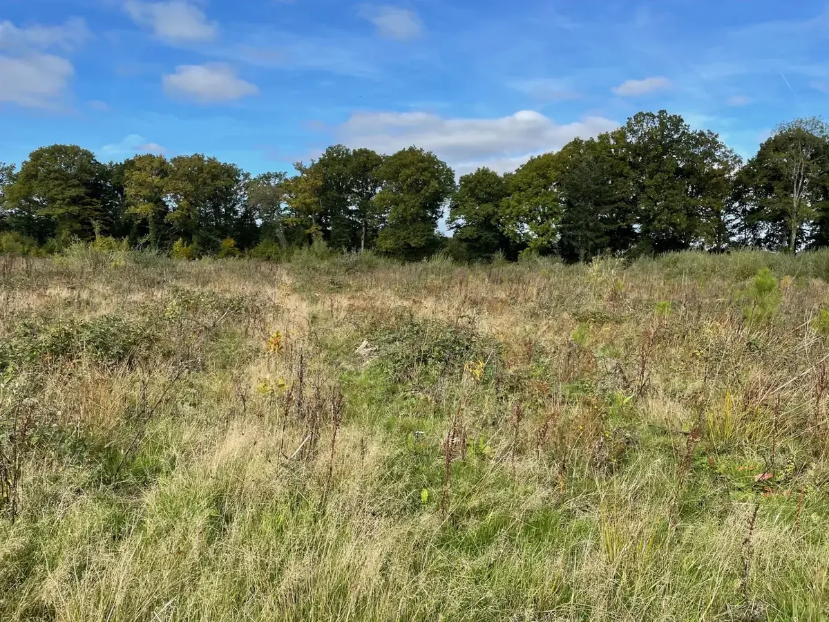 le bois du roy — photo 1