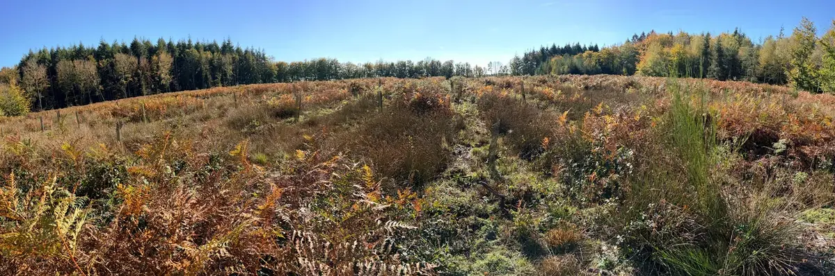 le bois des arnettes — photo 1