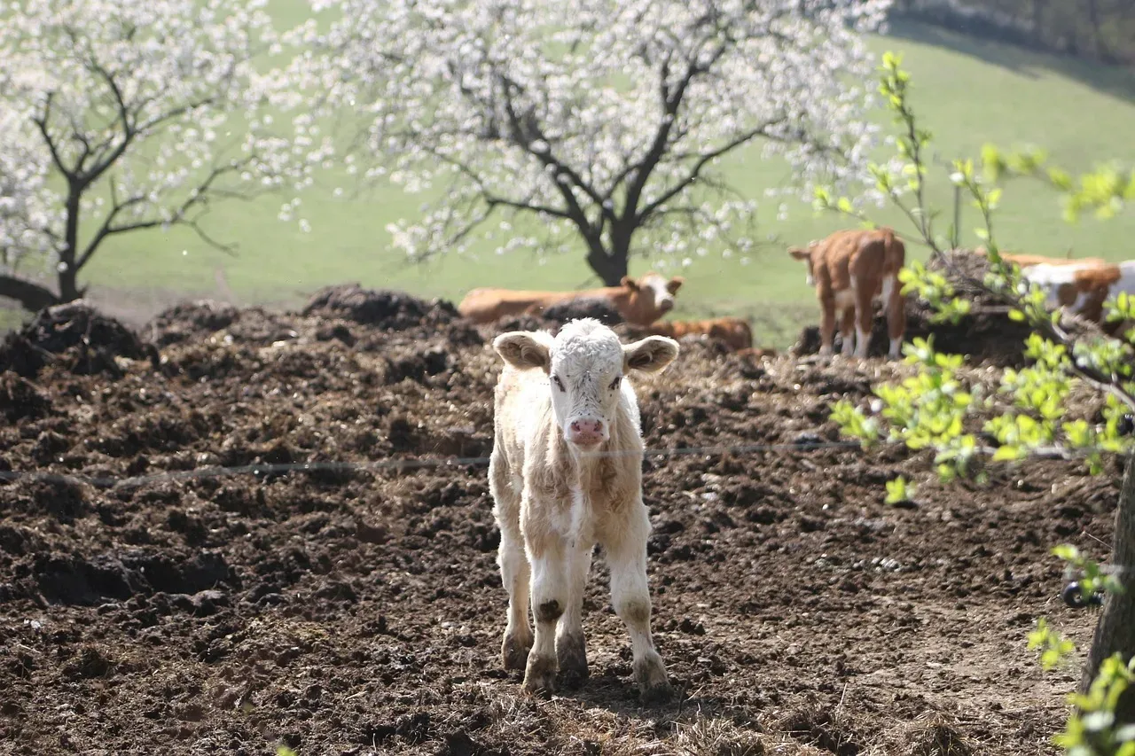 les prairies du coteau 195 005 — photo 1