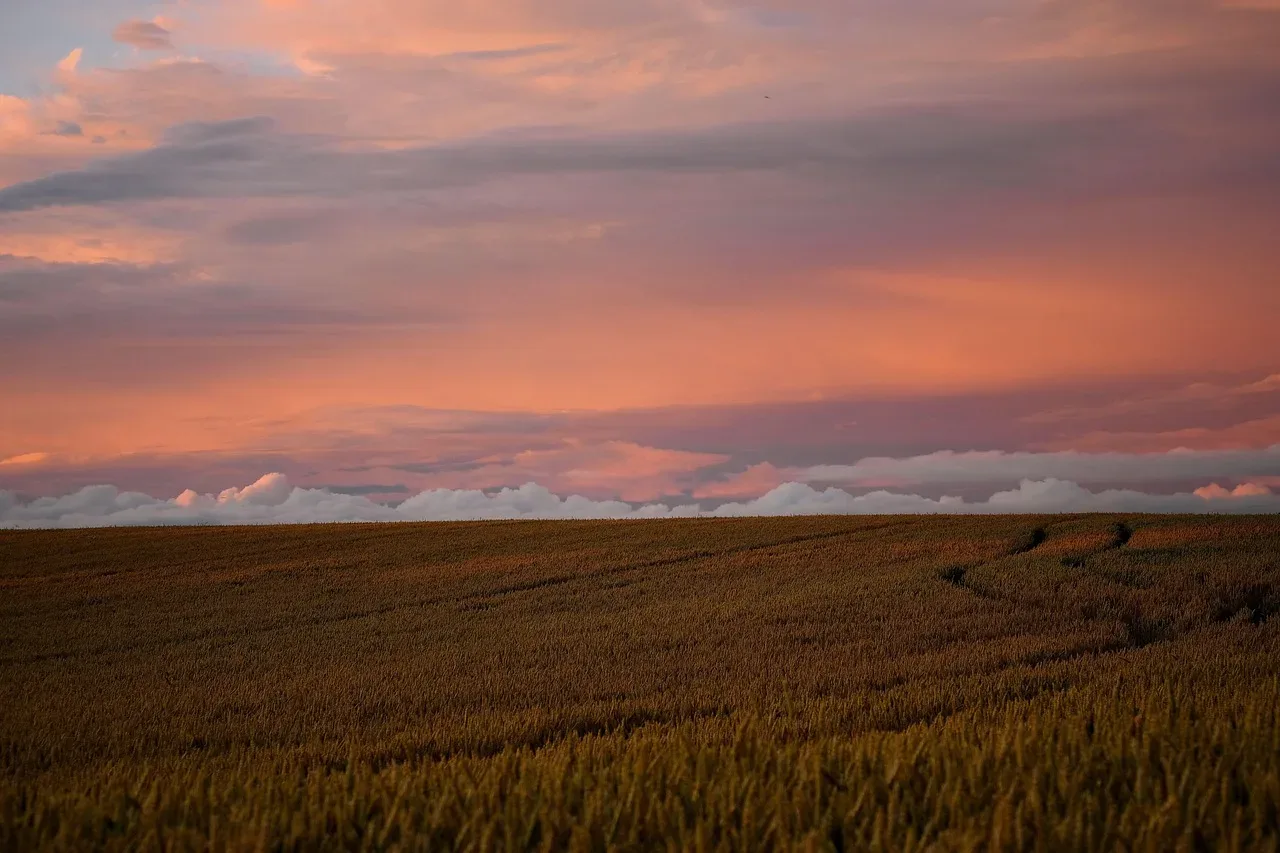 les hautes plaines de l aurore — photo 1