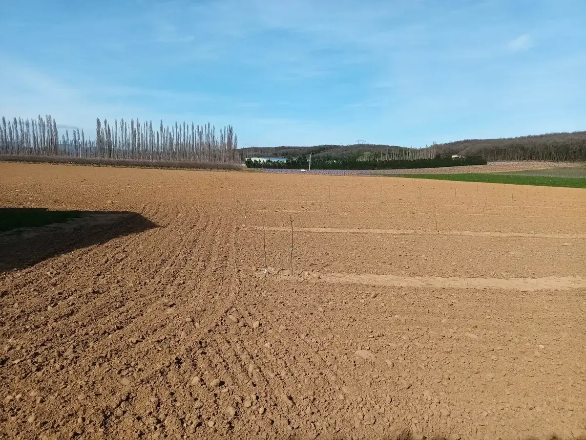 les vergers de chateauneuf n 2 — photo 1