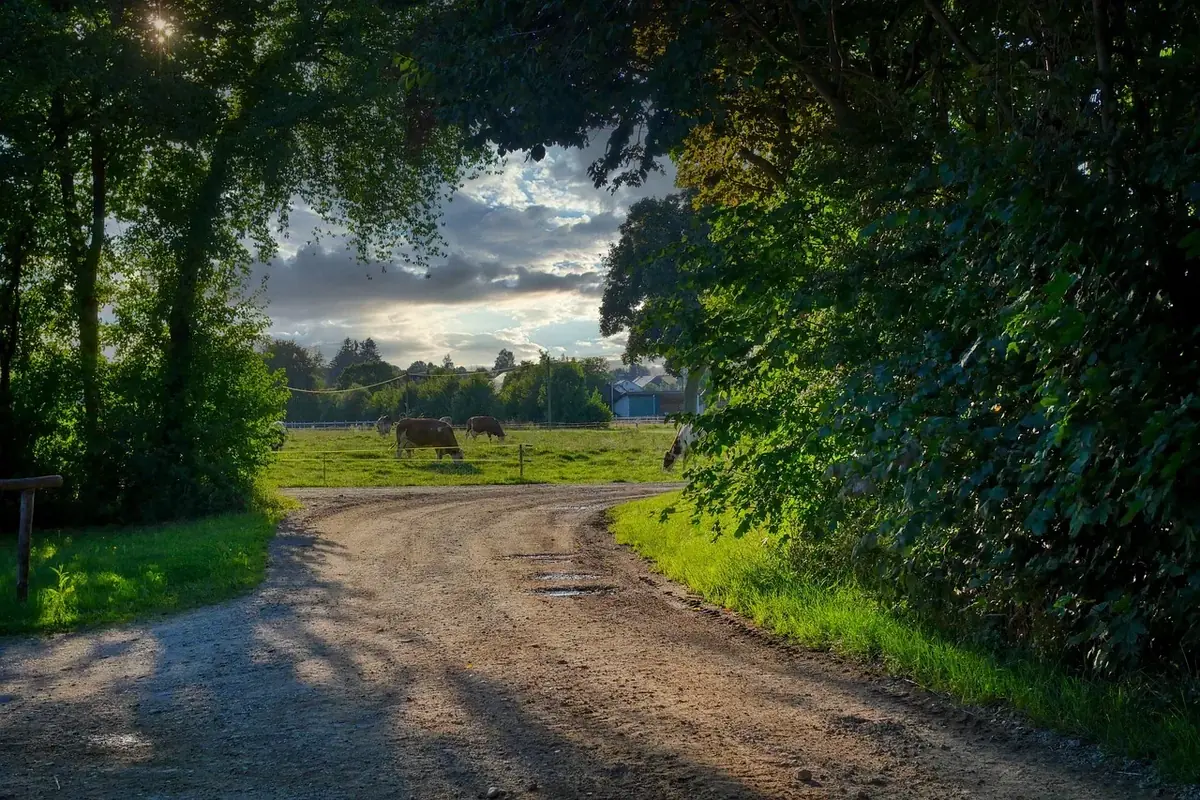 les bocages de la source 241 007 — photo 1