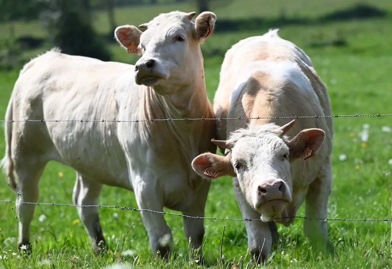 les hauts pres du coteau 241 013 — photo 1