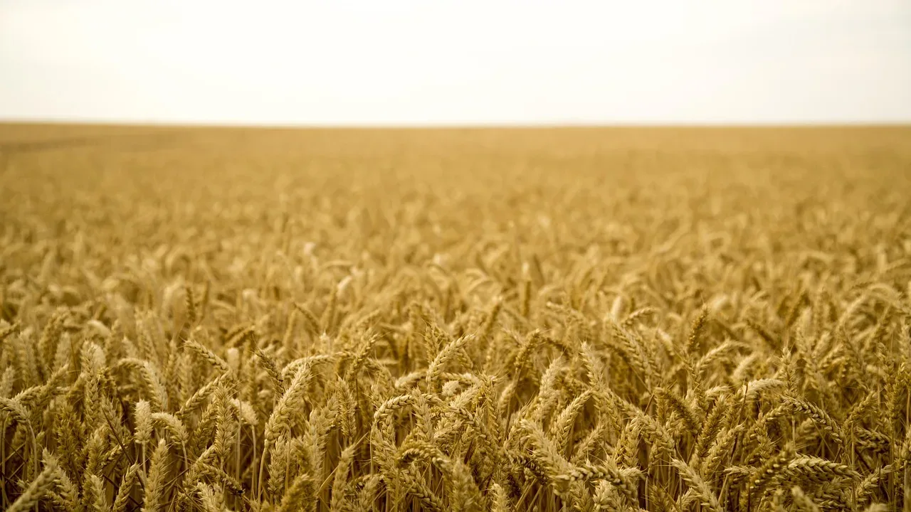 les terres prometteuses du vent — photo 1