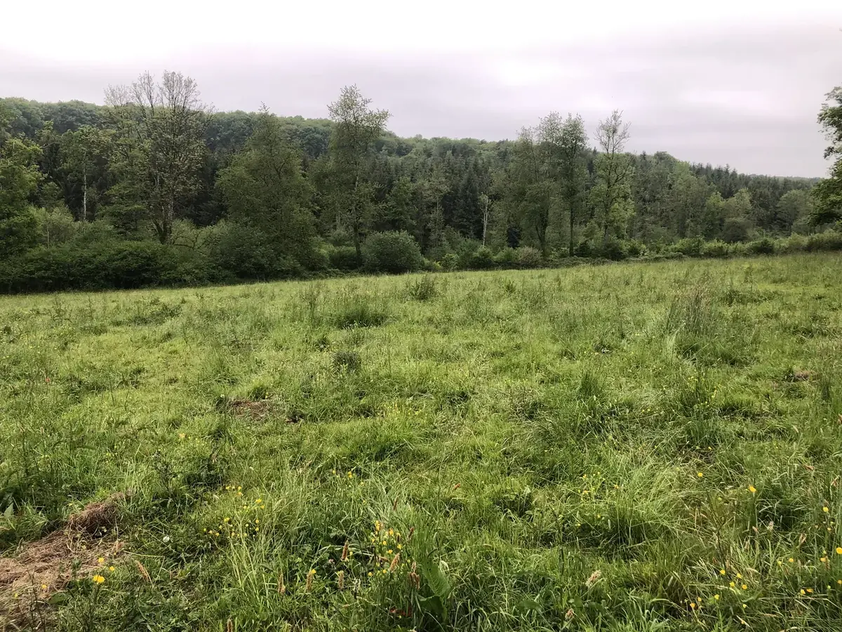 le bois du livet — photo 1