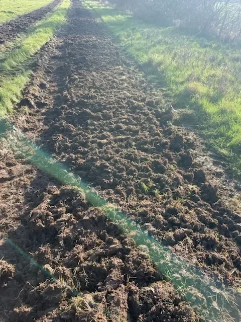 le bois de la marriere — photo 1