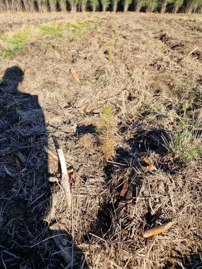 le bois de pargot — photo 1