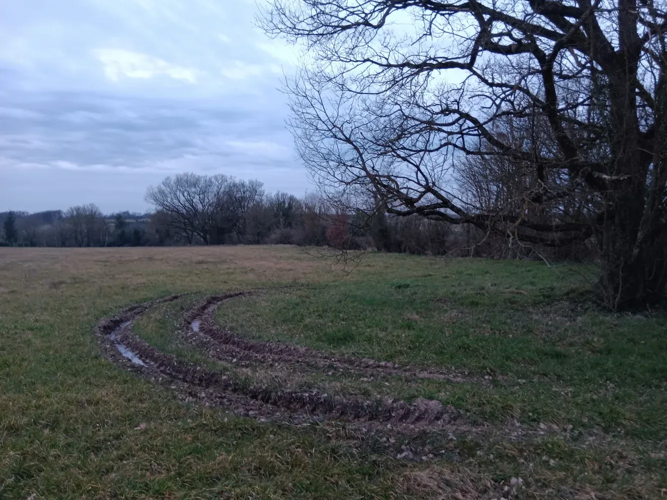 le bois de jolines — photo 1