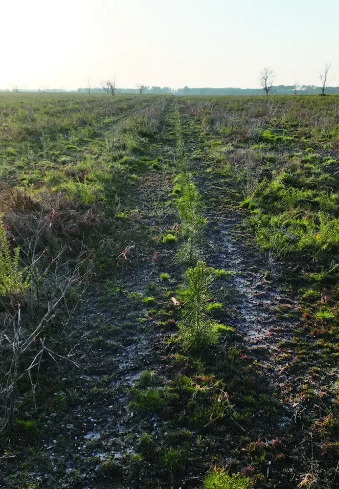 le bois des cavernes — photo 1