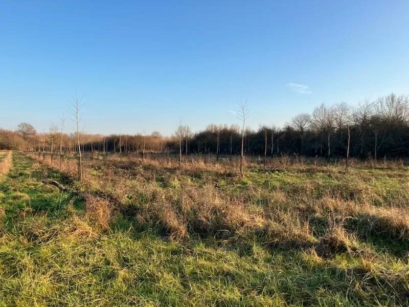 le bois des carrels — photo 1