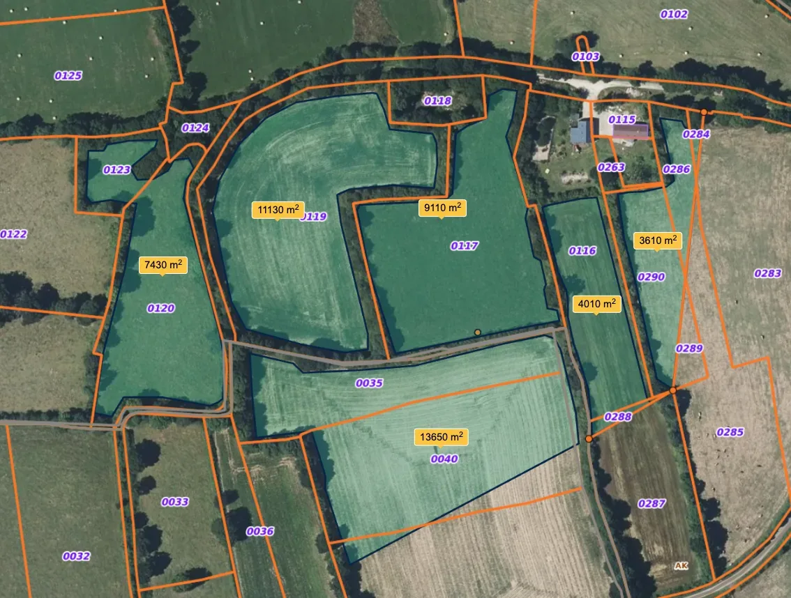 le bois des moulineaux — photo 1